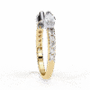 237 (7)