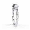 237 (8)