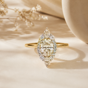 Seraphina Oval Halo Ring